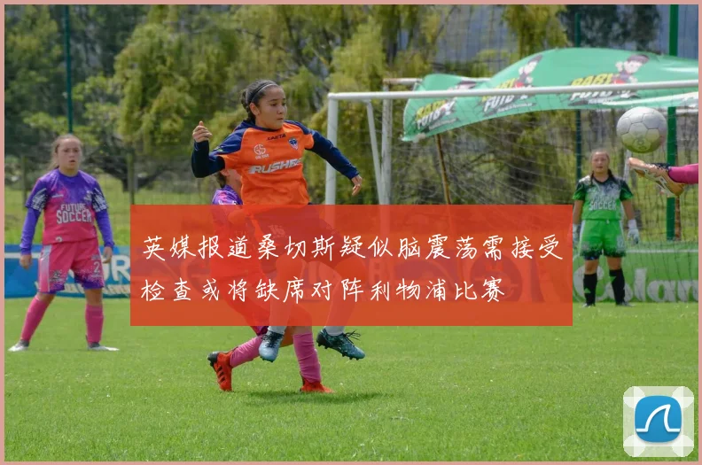 英媒报道桑切斯疑似脑震荡需接受检查或将缺席对阵利物浦比赛